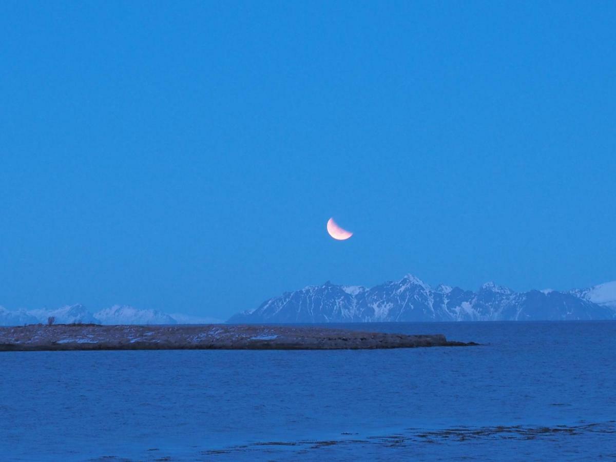 Lofoten Ocean View - Sandoy Gard Sand  Екстериор снимка