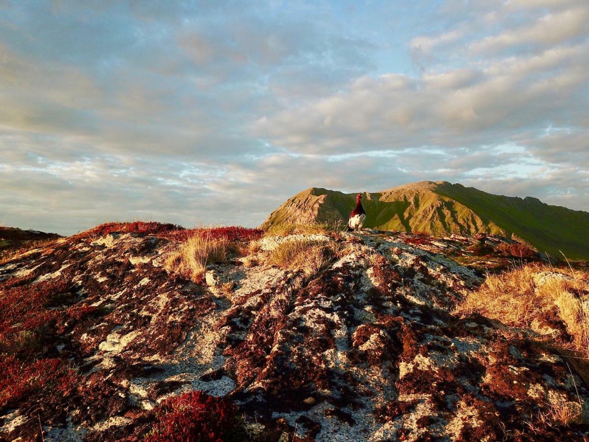 Lofoten Ocean View - Sandoy Gard Sand  Екстериор снимка